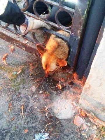  ����� ������ ���������������� ������ �������� ������ ���� ����� 