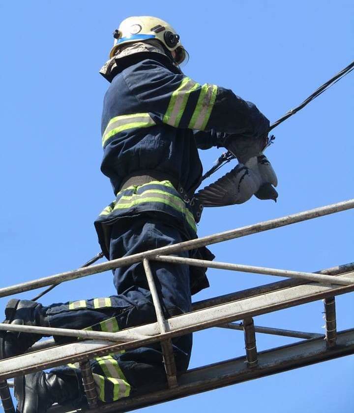  ���������������� ������ ��������� �������� ������� ������� �������� ���� 