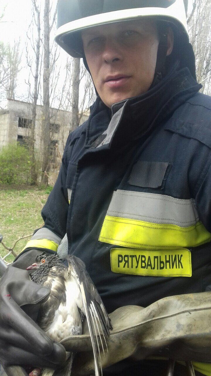 ����: 056.ua