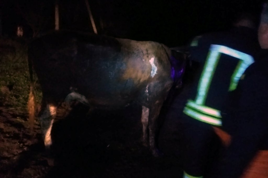  ���������������� ��������� ��������� ��� ������ ����� ������ ���� 