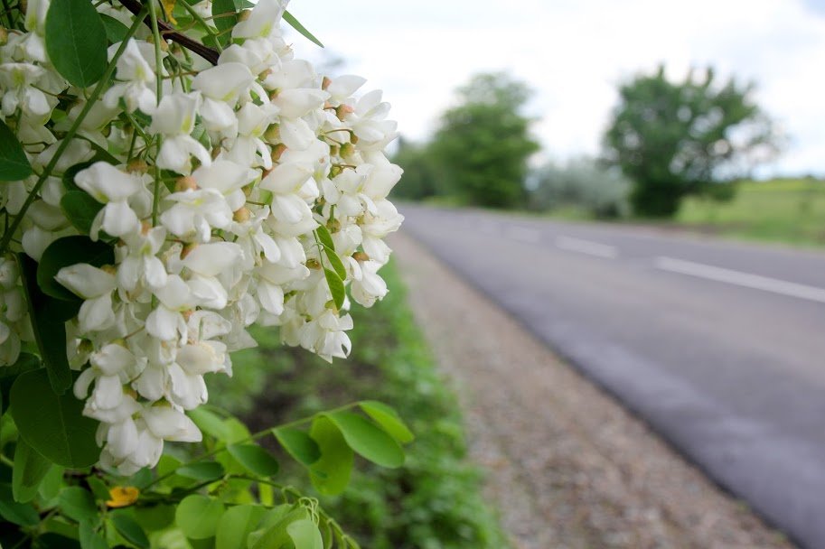  ���������������� ���������� ����������� ������ ������ ���� 