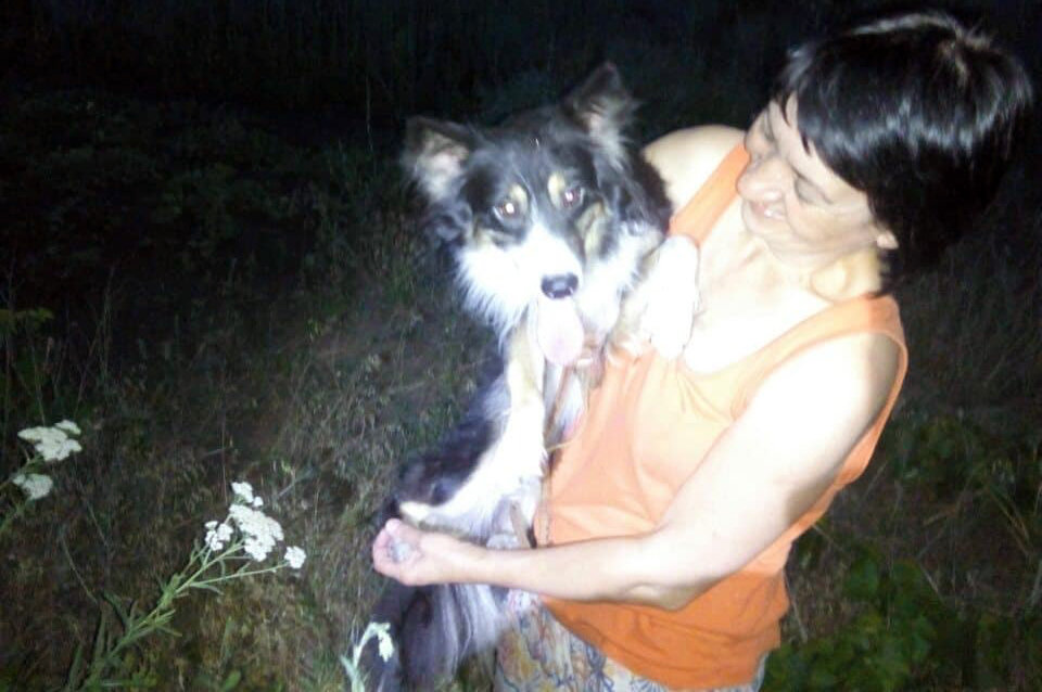  ���������������� ������� ��������� ��������� ������� ������� ������� ���� 