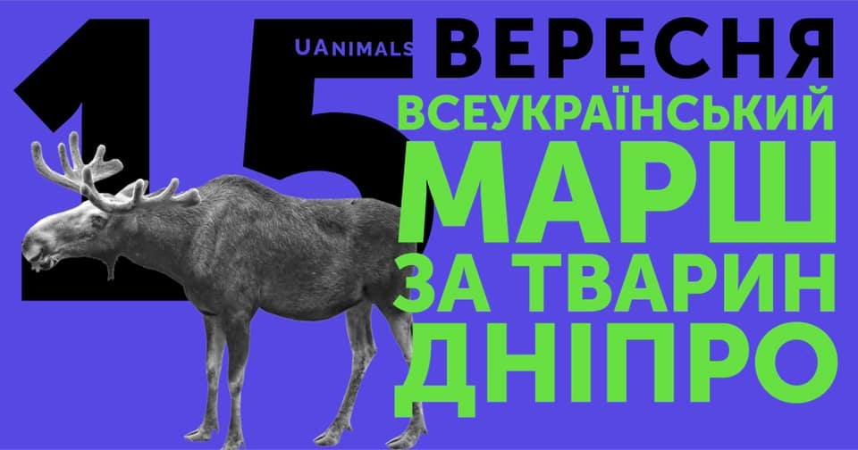  ������ ������� ���� ����� �������� �������������� 