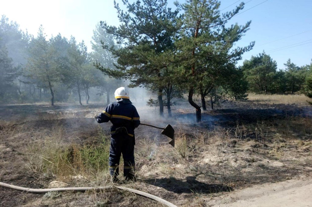  ���������������� ���������� ������ ����� ���� ����� 