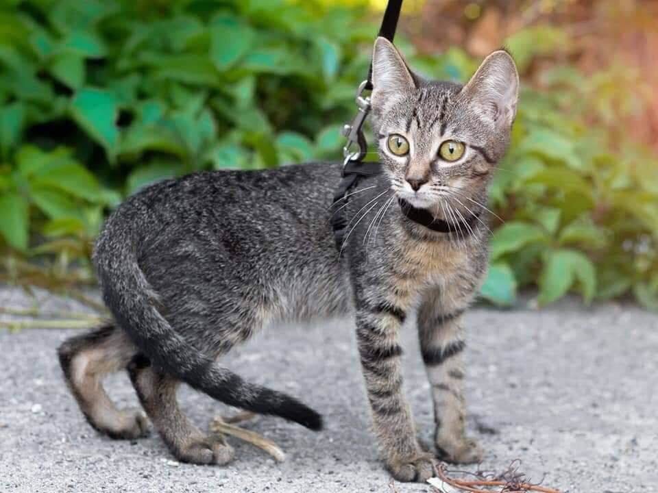  ������ ������� ���������� ������� ����� ����� 