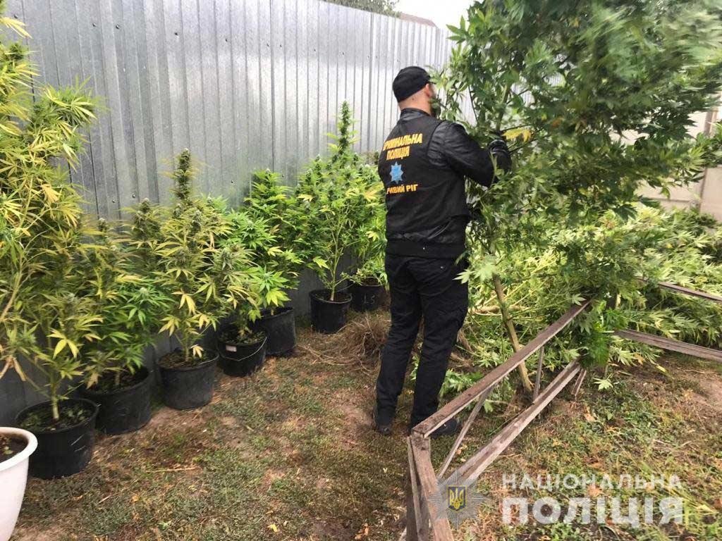  ���������������� ������� ������� ����� ��������� 100 ������ ���� 