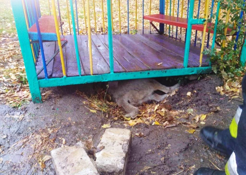 ����: 056.ua