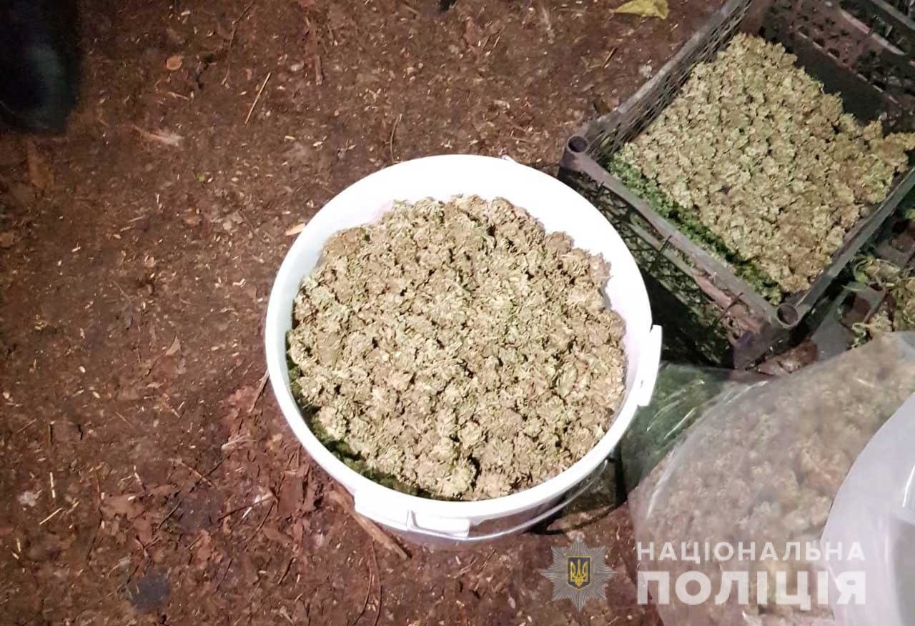 ����: 056.ua