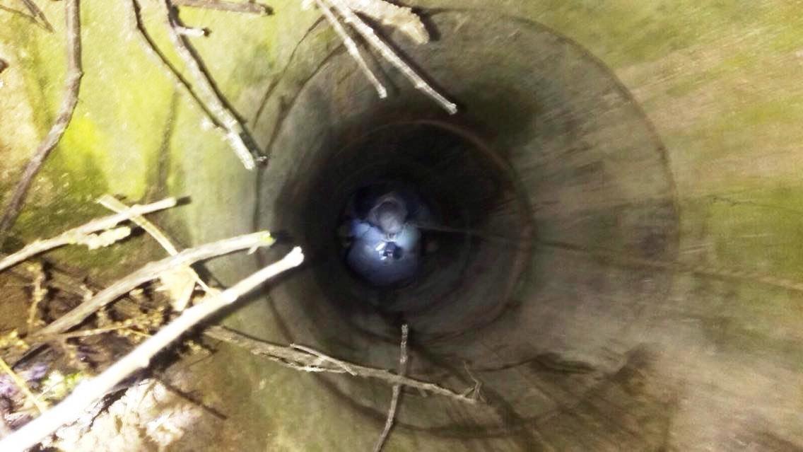  ������� ��������� ������� ������� ��������� ������� ���� 