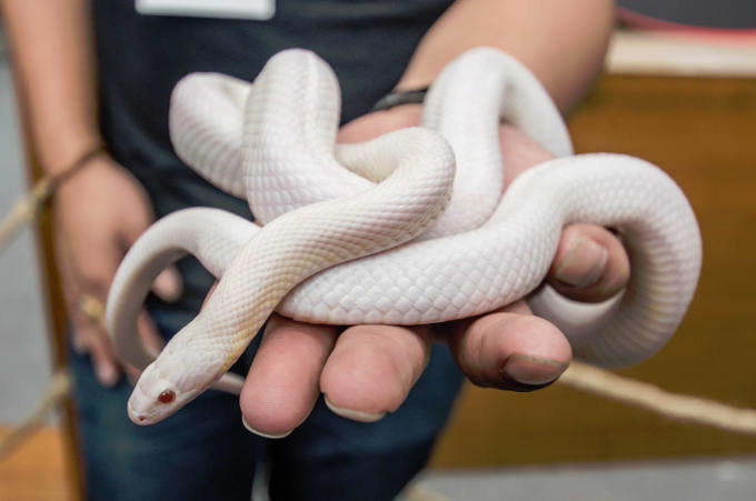  ����� �������� ���������� ���-8 ������ �������� ������ �������� 