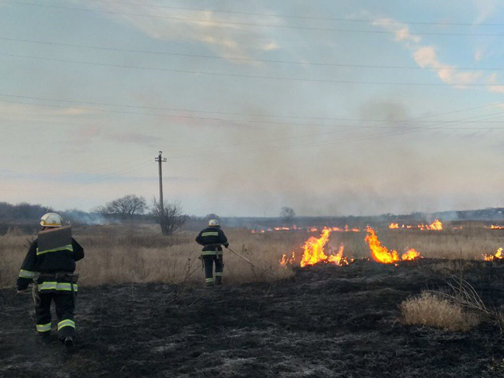  ���������������� ������� �������� ����� �������� ��������� ���� 