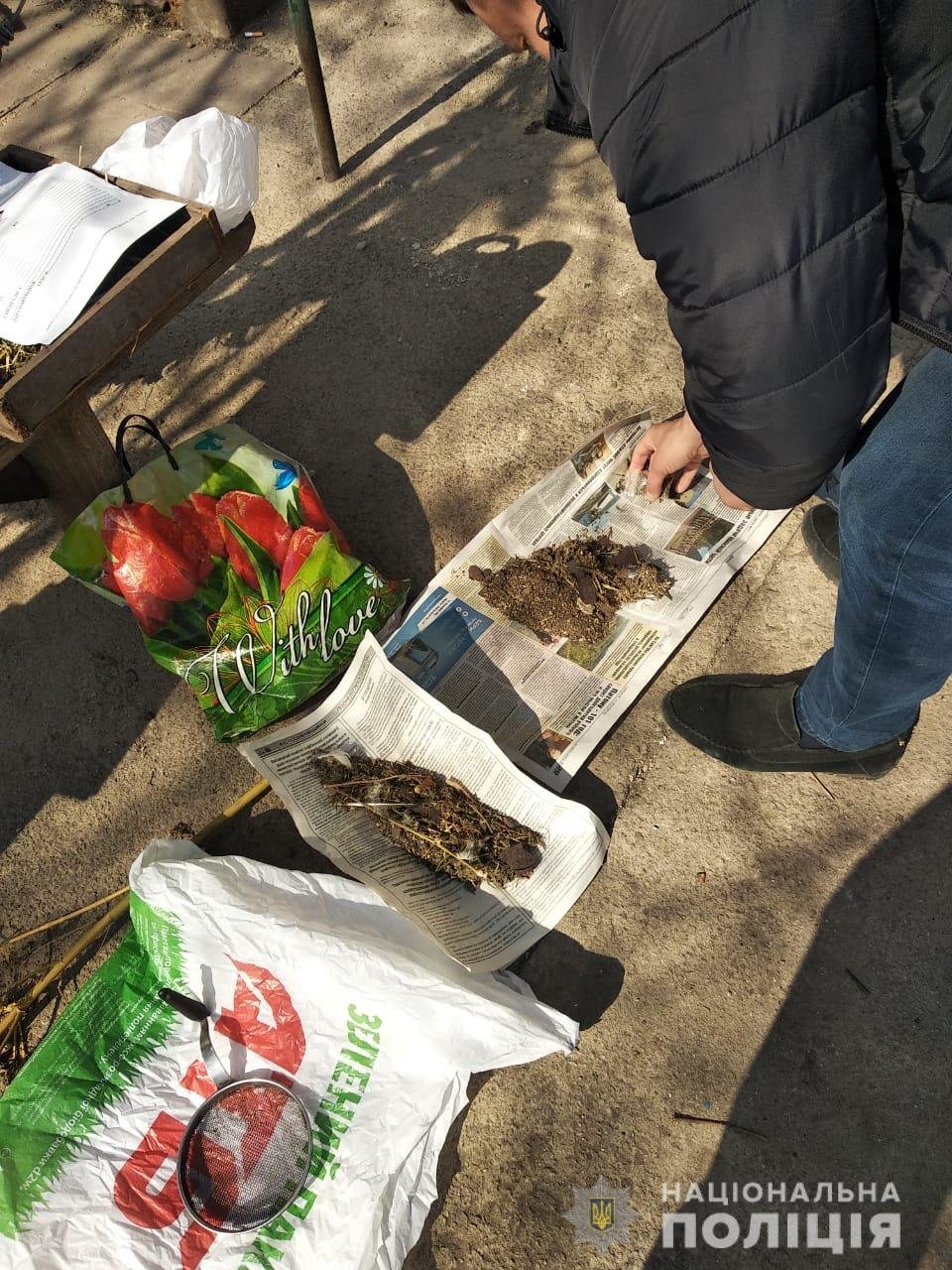  ���������������� ������� ������ ���������� ������� ����������� �������������� ������� 