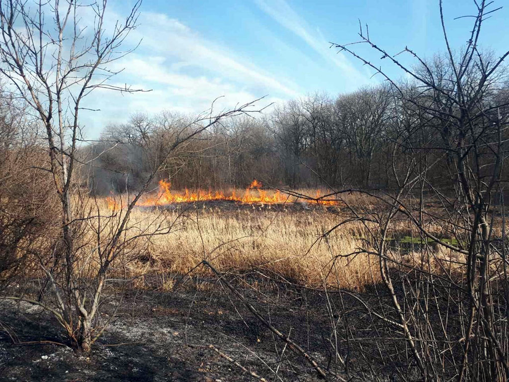  ������� ����� ��������� ������ ������� ���������������� ������� ����� 