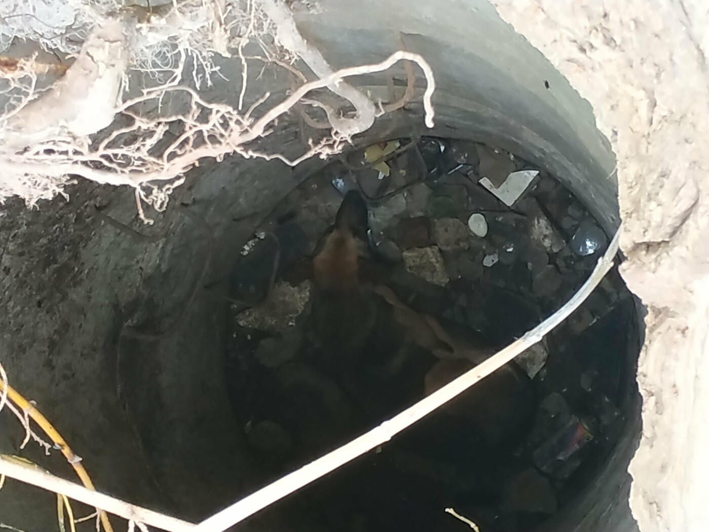  ������ �������� ������ ������ ������� ������� ���� 