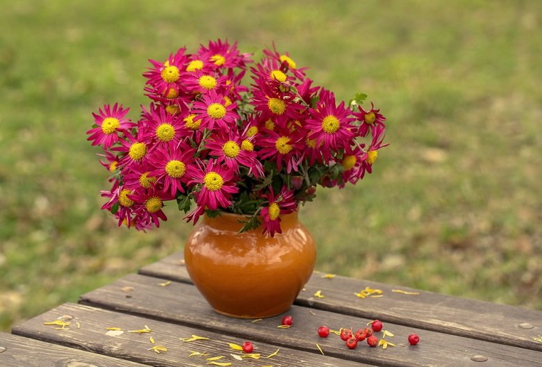  ��������� �������� ���� ������� 