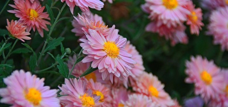  ��������� ������� �������� ���� ������� 