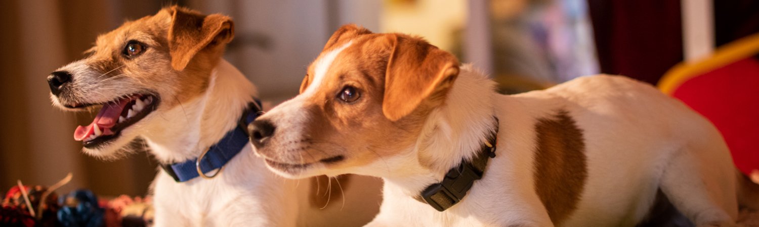 ����: 056.ua