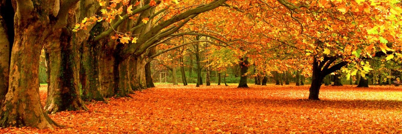  ���������� ������ ����� ����� ������ ������ 