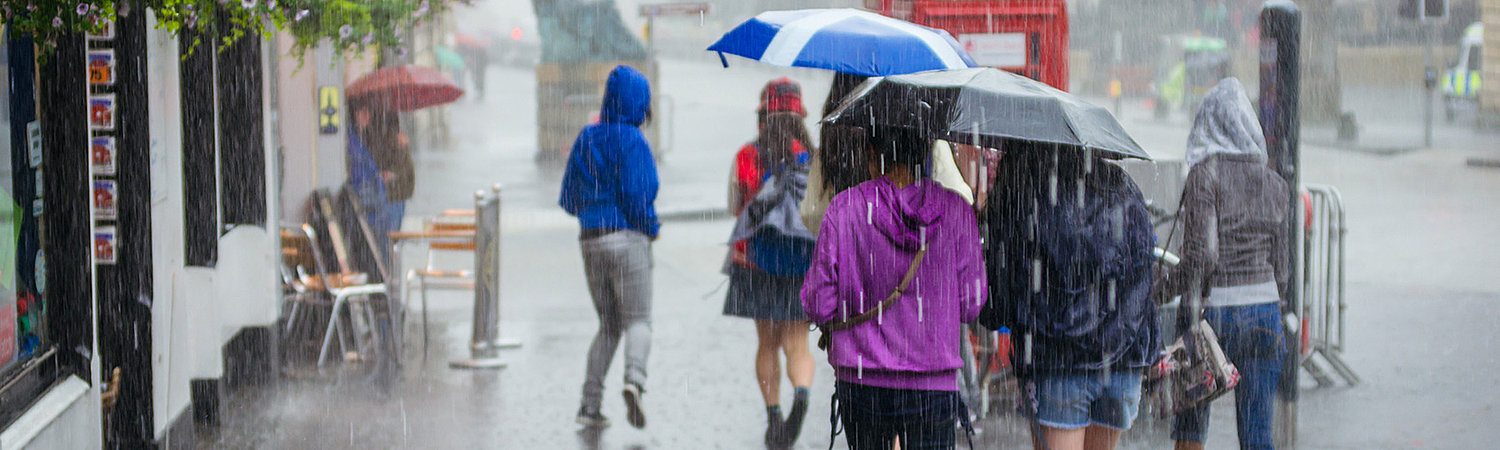  ����� ������� ����� ������ ������ ��������� 