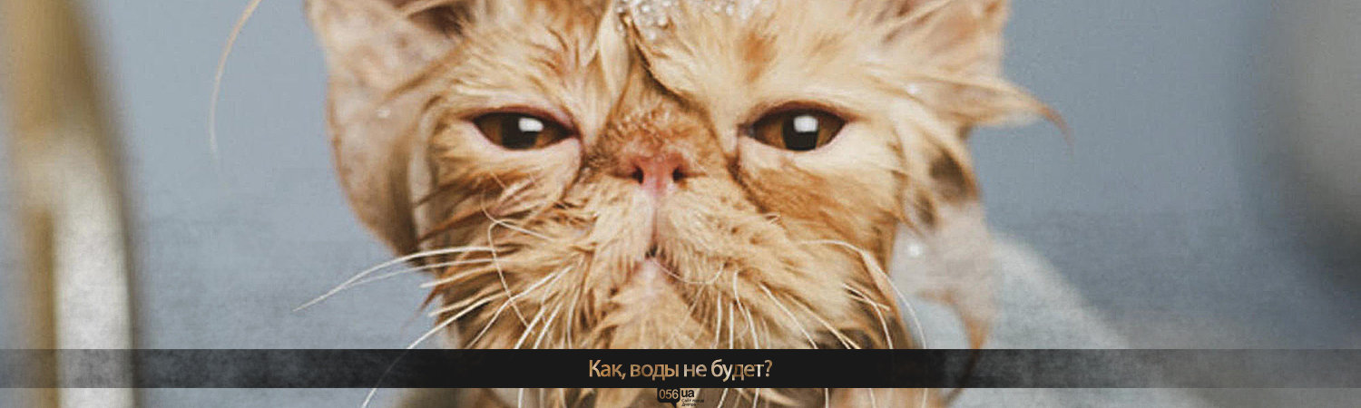  ����� ������� ��������� ���� �������������� ���� ������ ������� 