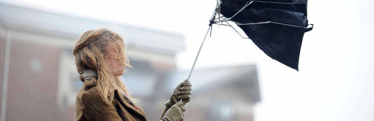  ������� ������������ ������ ������� ���������� ����� ������ 