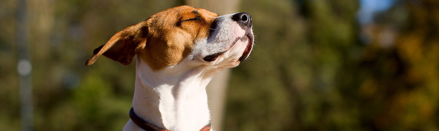  ������ ������ ���� ������ ����� ������ 