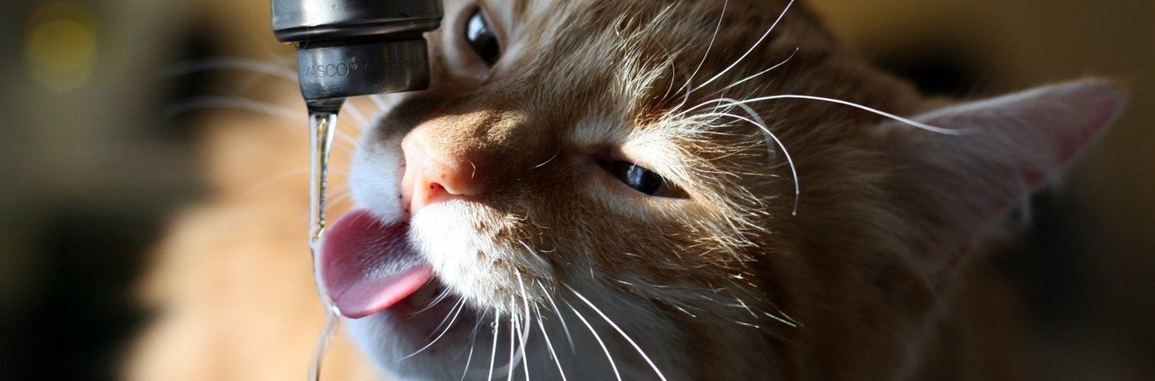  ������ ��������� ���� ������� 