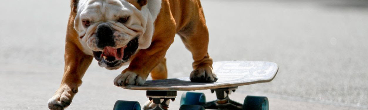  ��������� ������ ������ ������ ������� ���� 