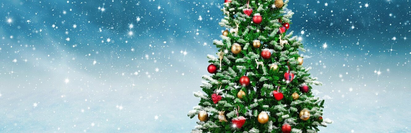  ������� ������ ������������� ���� �������� �������� 