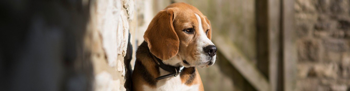 ����: 056.ua