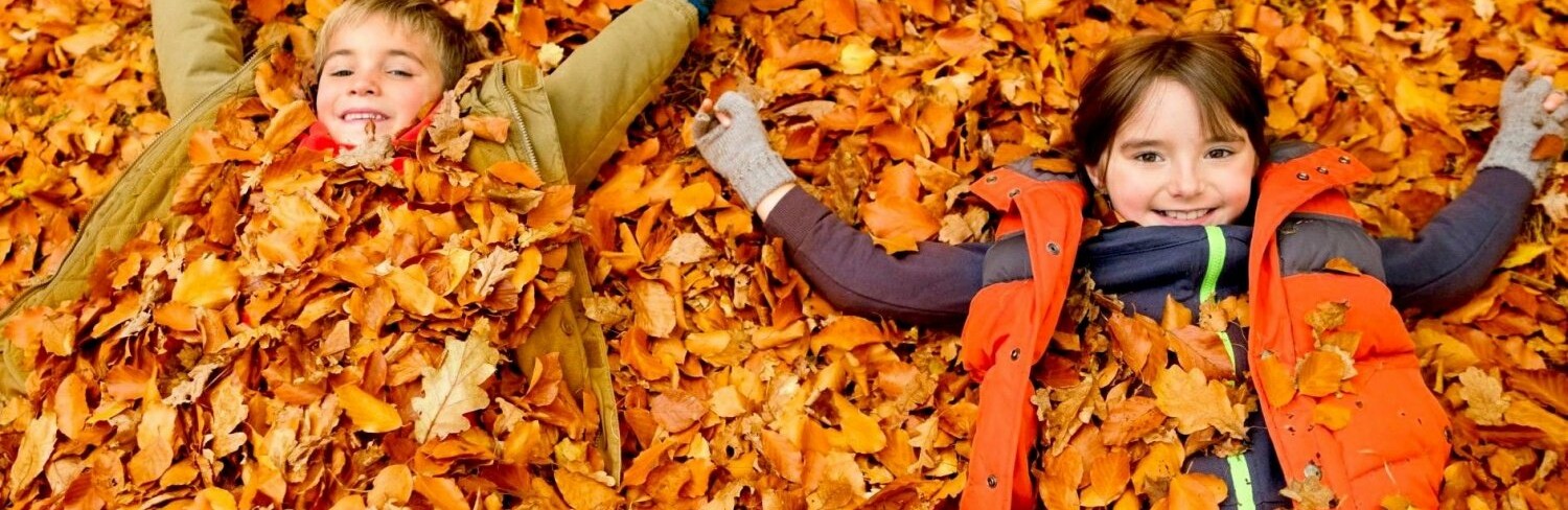  ������ �������� ���� ������� ������� 