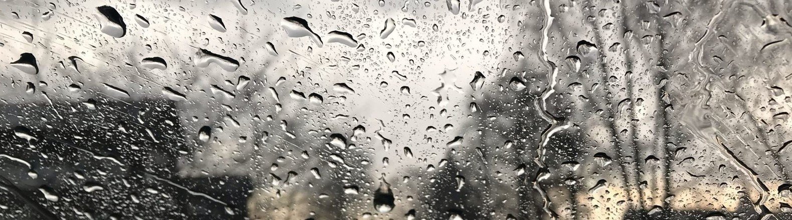  ����������� ��������� ������ ������ ���� ����� �������� ������ 