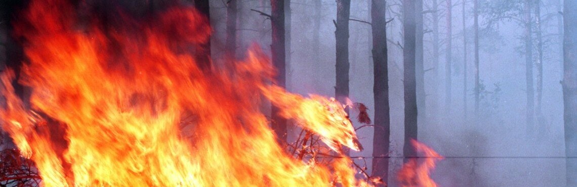  ������ ������� ��������� ������������� ��������� ������� 