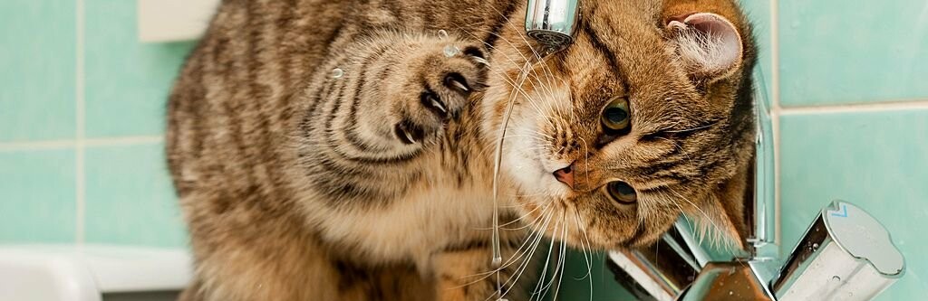  ������ ����� ������ ��� ���� ������ ���������� ���������� 