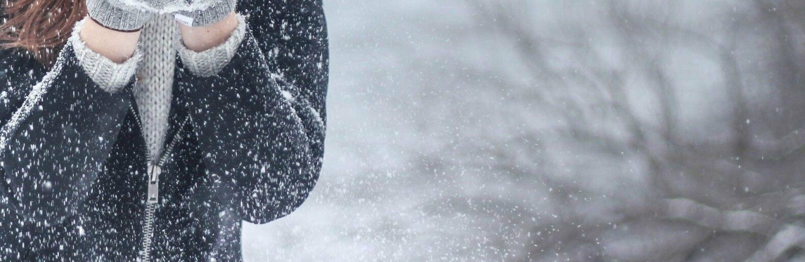  ���� ��������� ������ ��������� ������ 