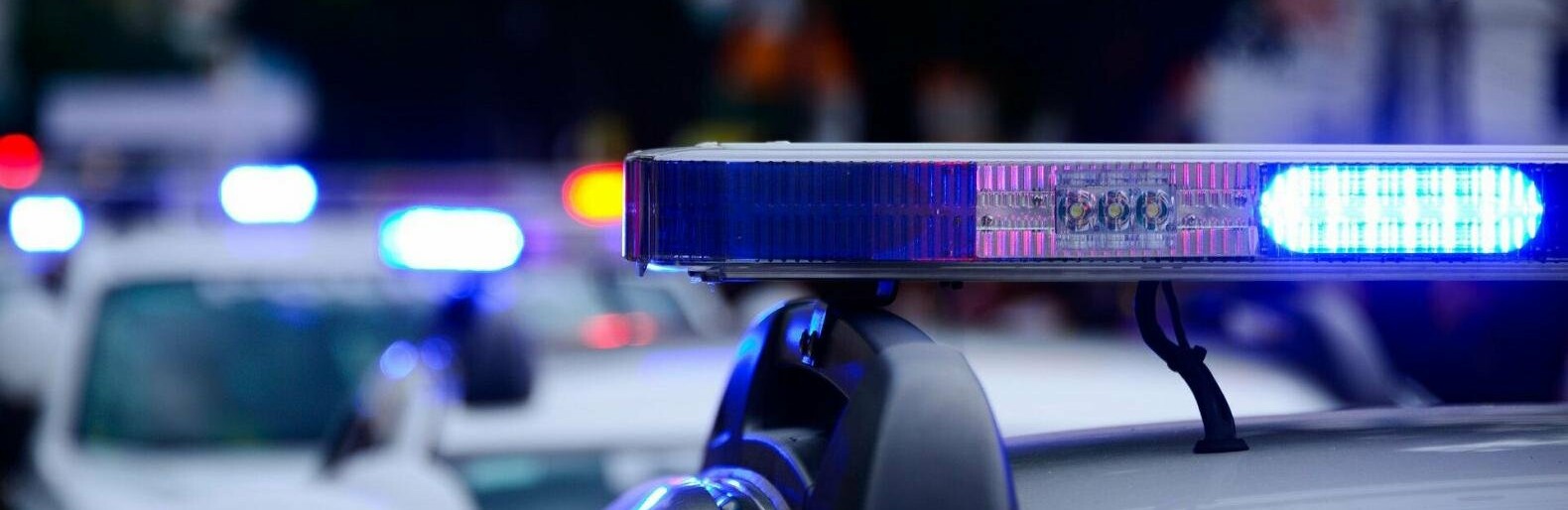  ������ ������ ����� �������� ���� 