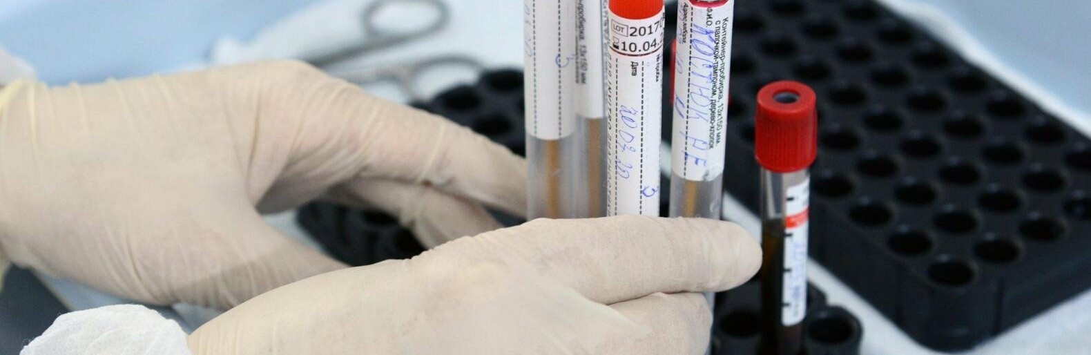  ������ ���������� covid-19 ������ 