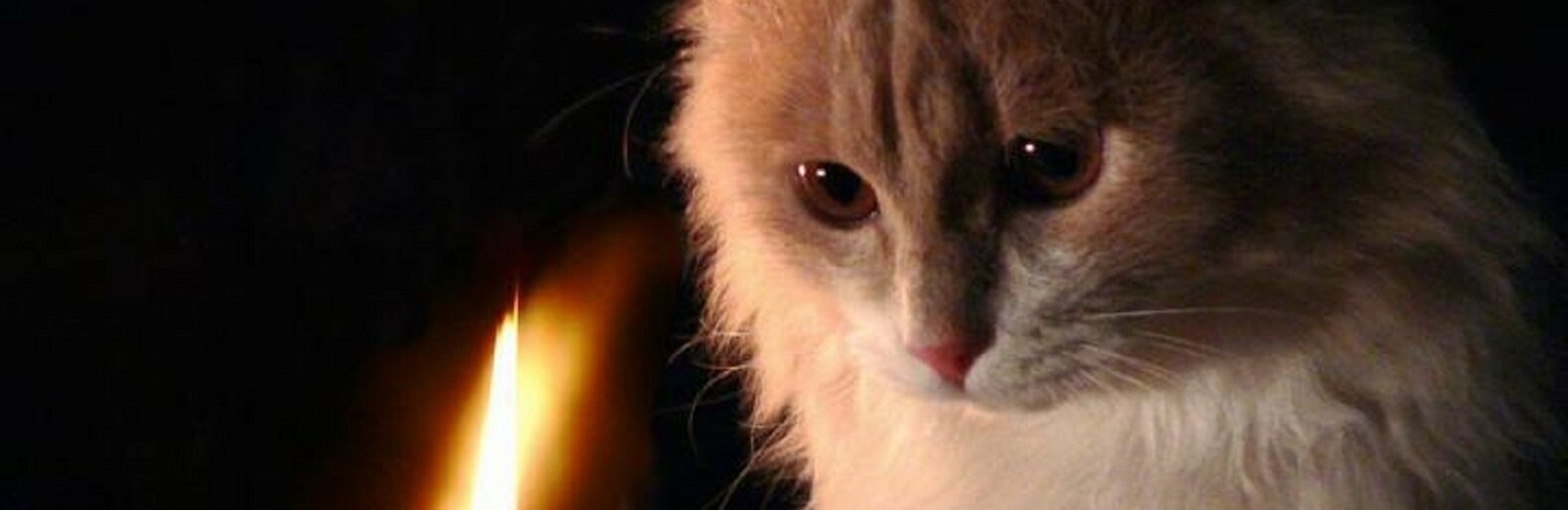  ����� ������� ���������������� ����� ������ ���������� 