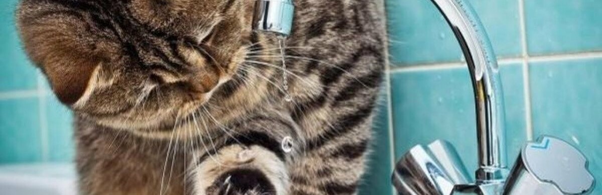  ������ ������ ����� ������ ������� ���� ������ 