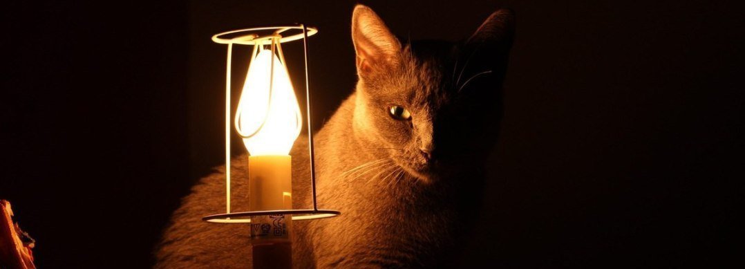  ���������� ����� ������ ����� ������� ������������� �������������� 