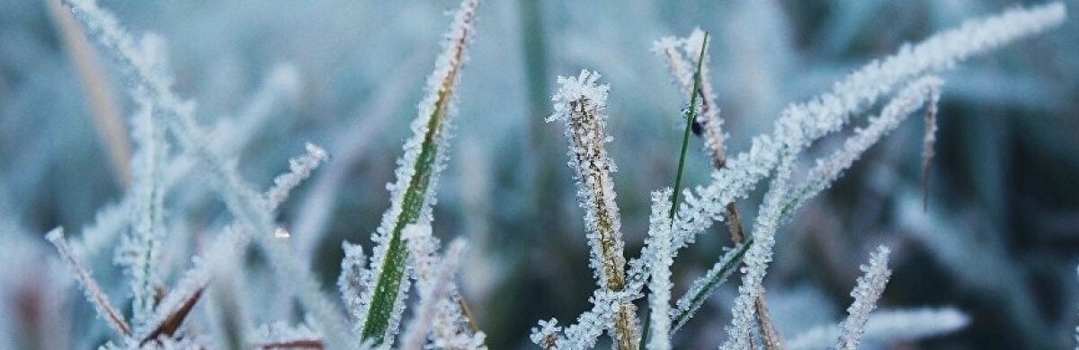  ��������� ������� ��������� �������� ����� ������� ������� ��������� 