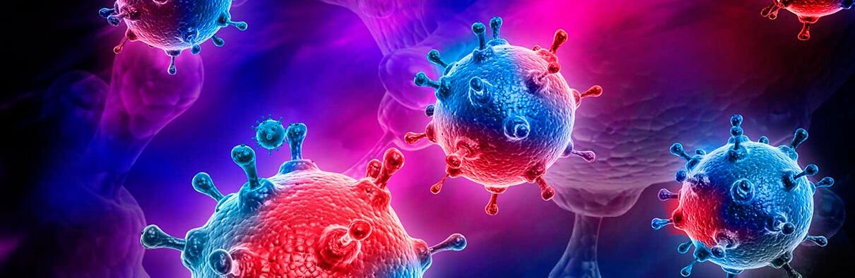 ����: 056.ua