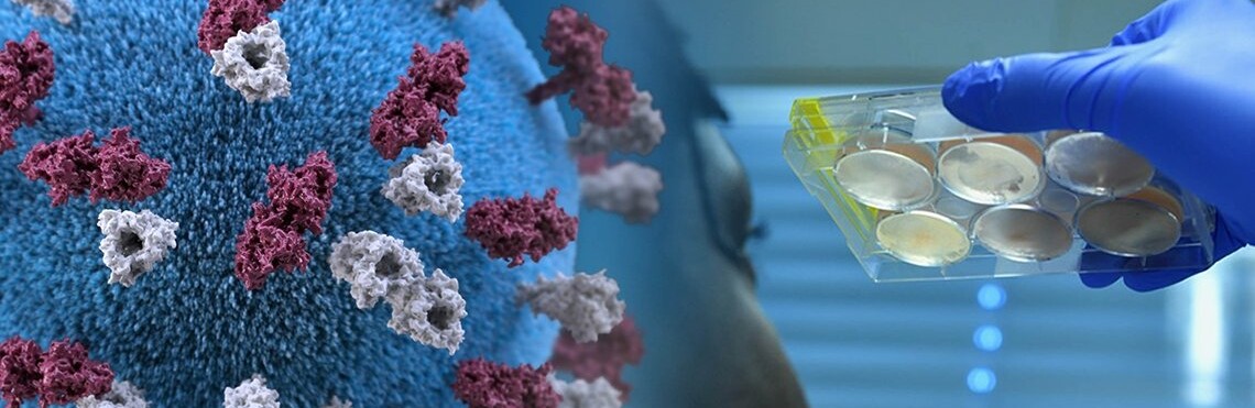 ����: 056.ua