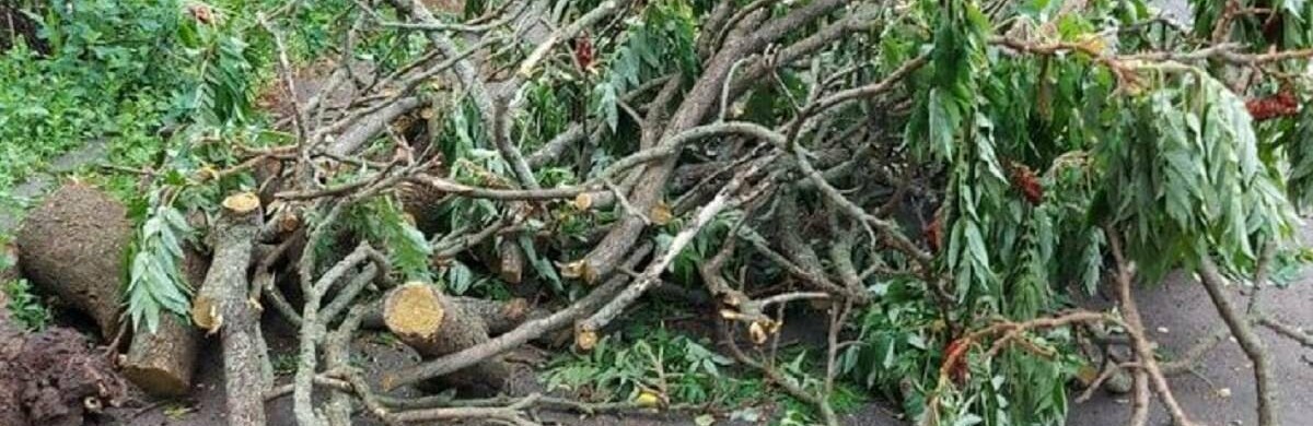  ������ �������� ������� ���������� �������� ������� 