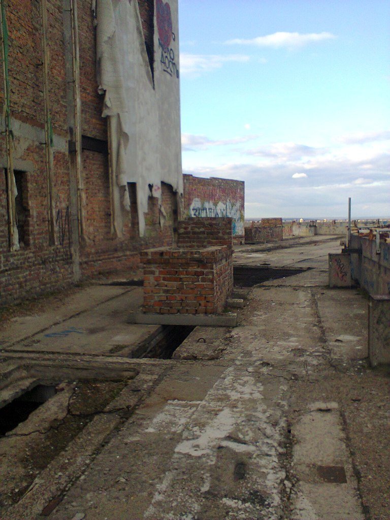 парус24 парус24