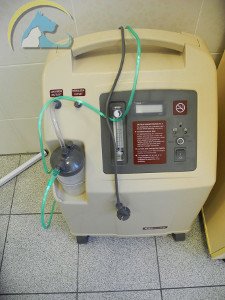 watermarked-aparat