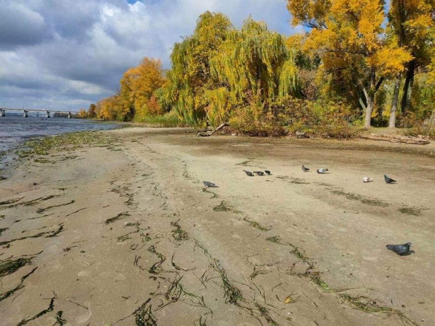 Снизился уровень воды в Днепре: что случилось с рекой | Новости