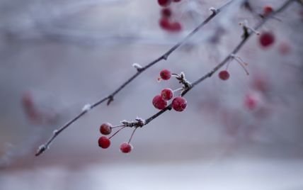 Різдво в Україні буде із дощем та снігом: прогноз погоди на 26 грудня у Дніпрі 