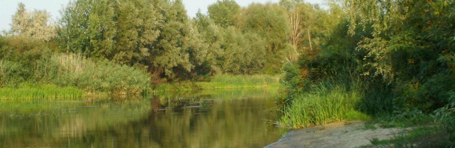 На Дніпропетровщині не можна купатися в річках: щотижневий моніторинг