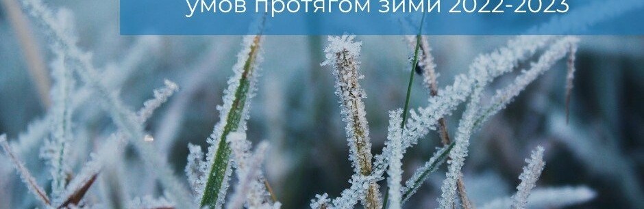 Короткочасні суттєві похолодання і перенесення опалювального періоду: яка зима 2022/2023 чекає українців  